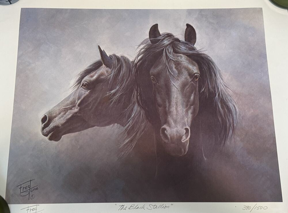Fred Stone – “The Black Stallion” – Limited Edition Print 390/1500 Signed NO COA